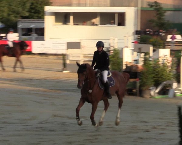 Reitturnier Albersloh 2023