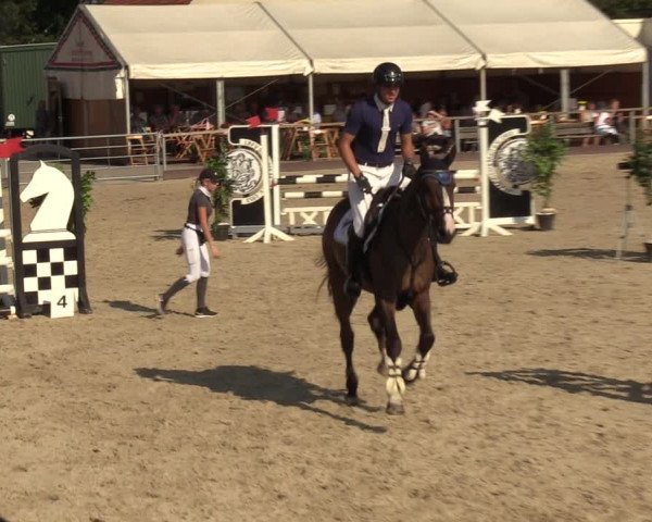 Reitturnier Marl, Hof Ostgathe 2023