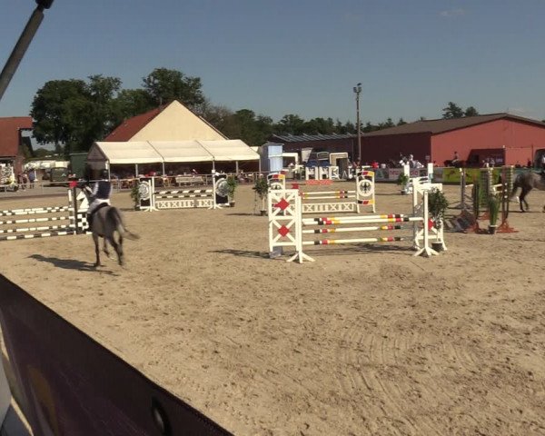 Reitturnier Marl, Hof Ostgathe 2023