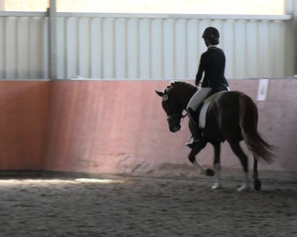 Reitturnier Marl, Hof Ostgathe 2023