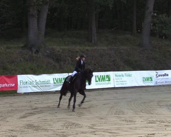 Reitturnier Albersloh 2023