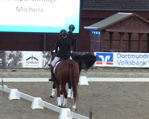 Reitturnier Dortmund-Barop 2023