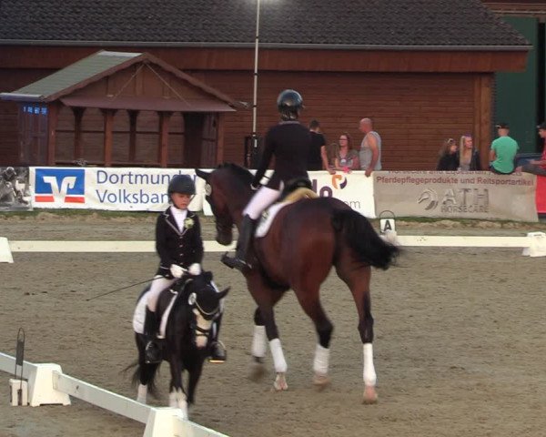 Reitturnier Dortmund-Barop 2023
