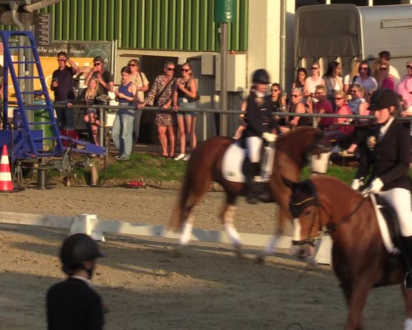 Reitturnier Dortmund-Barop 2023