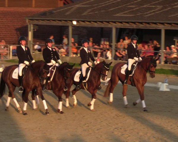 Reitturnier Dortmund-Barop 2023