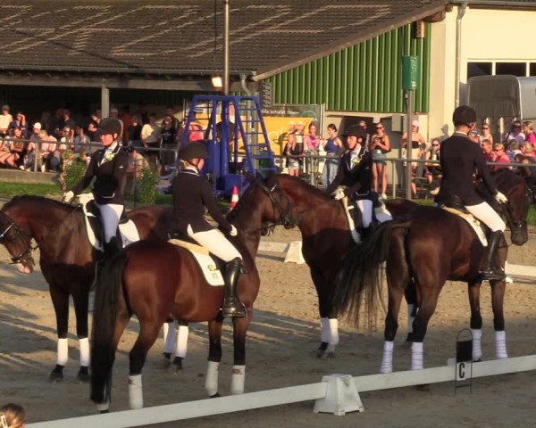 Reitturnier Dortmund-Barop 2023