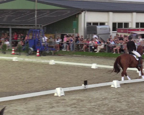 Reitturnier Dortmund-Barop 2023
