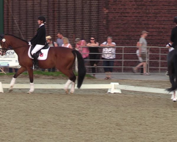 Reitturnier Dortmund-Barop 2023