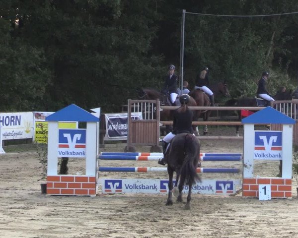 Reitturnier Albersloh 2023