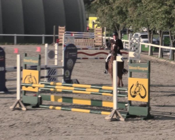 Reitturnier Bad Schmiedeberg 2023