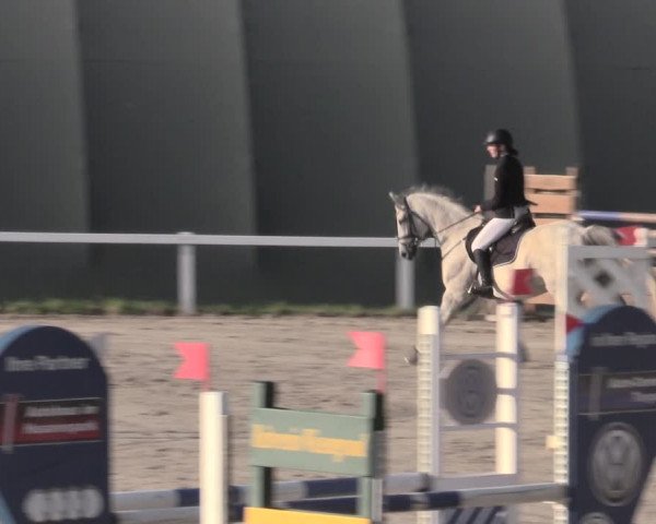 Reitturnier Bad Schmiedeberg 2023