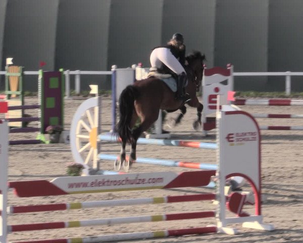 Reitturnier Bad Schmiedeberg 2023