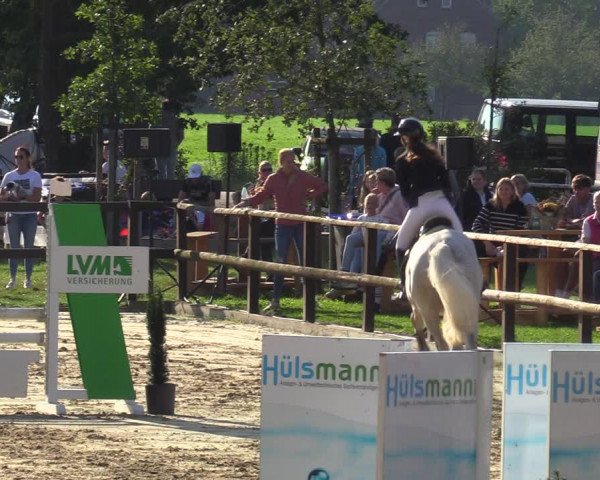 Reitturnier Albersloh 2023