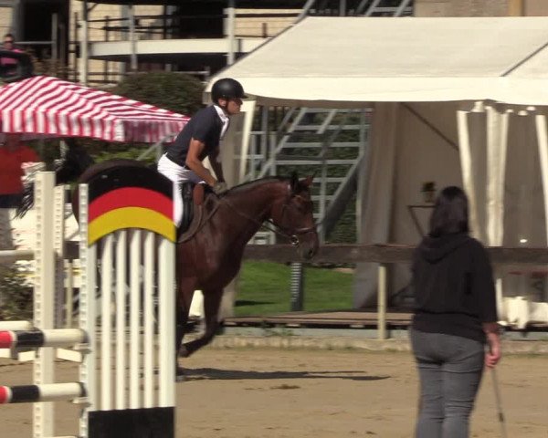 Reitturnier Buchenhof-Ibbenbüren 2023