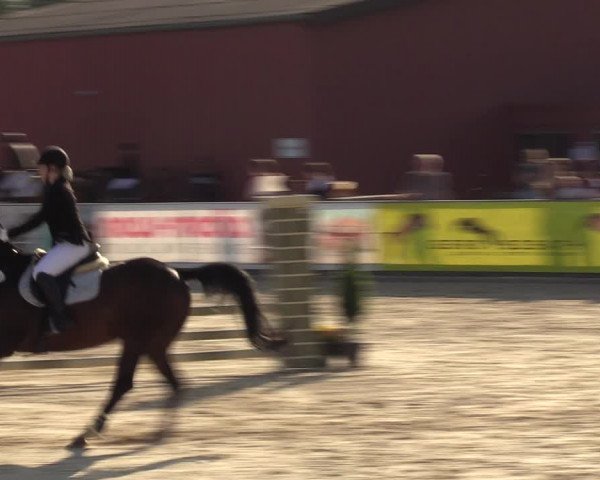 Reitturnier Marl, Hof Ostgathe 2023