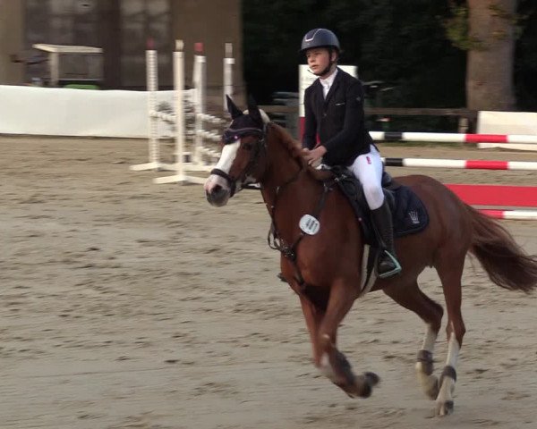 Reitturnier Buchenhof-Ibbenbüren 2023