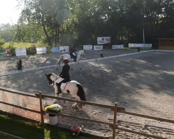 Reitturnier Ditzingen 2023