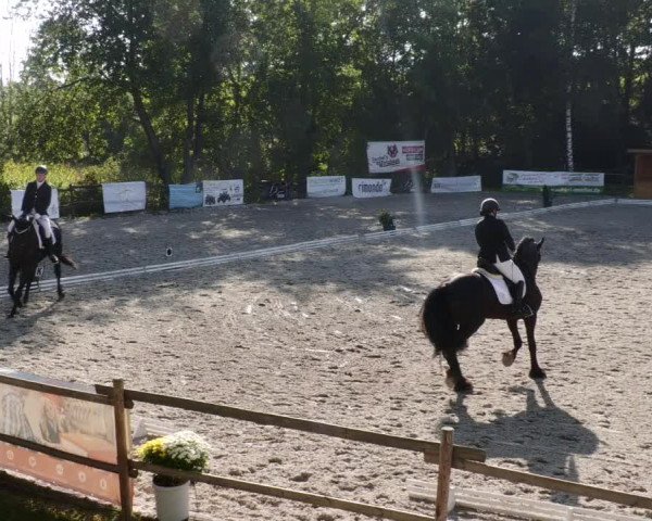 Reitturnier Ditzingen 2023