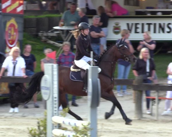 Reitturnier Buchenhof-Ibbenbüren 2023
