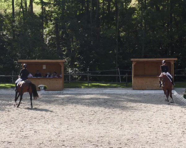 Reitturnier Ditzingen 2023