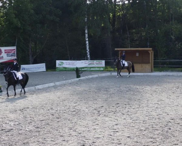 Reitturnier Ditzingen 2023