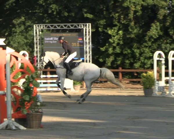 Reitturnier Scharnebeck 2023