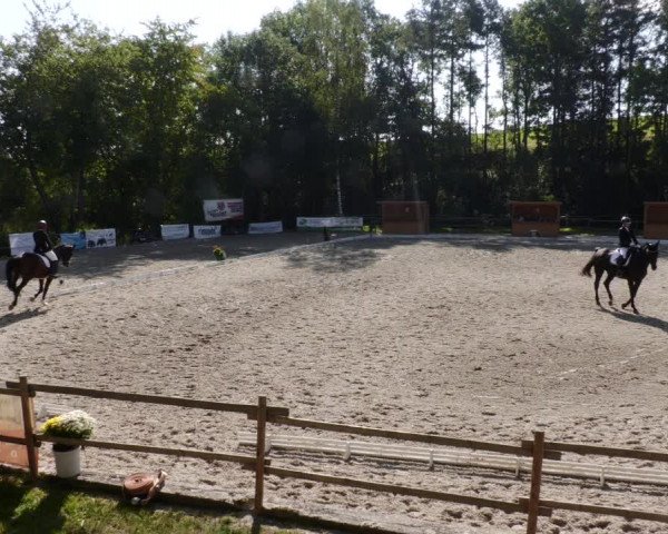 Reitturnier Ditzingen 2023