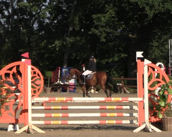 Reitturnier Scharnebeck 2023