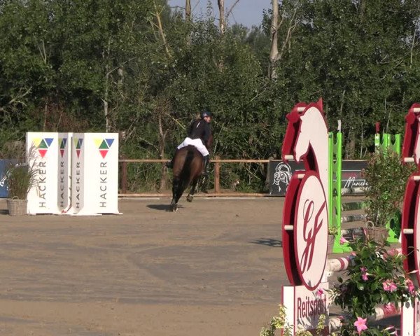 Reitturnier Scharnebeck 2023