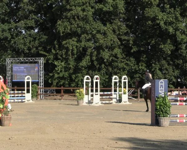 Reitturnier Scharnebeck 2023
