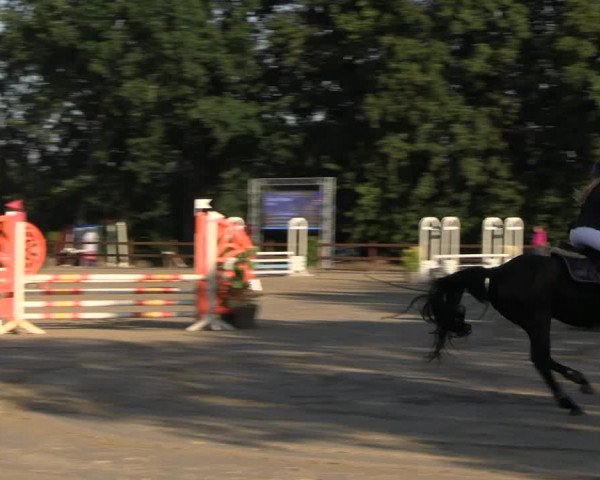 Reitturnier Scharnebeck 2023
