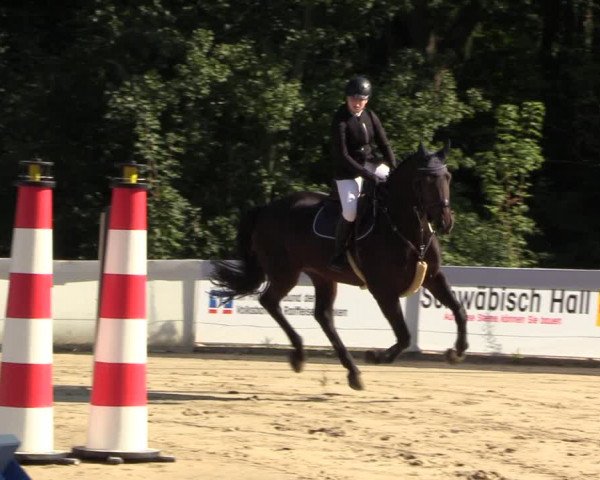 Reitturnier Buchenhof-Ibbenbüren 2023