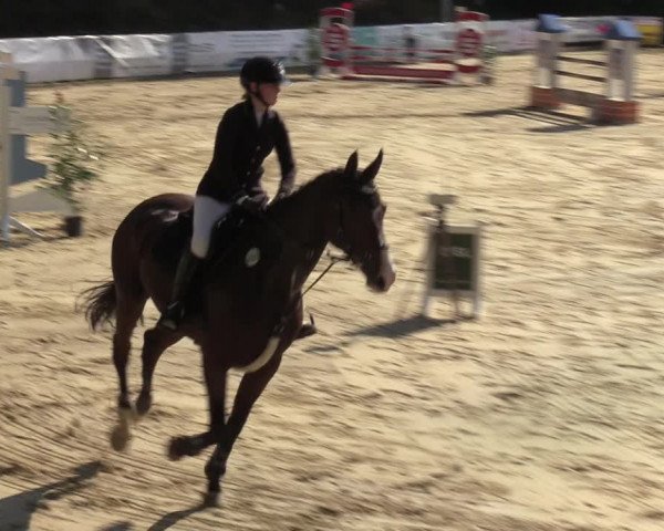 Reitturnier Albersloh 2023