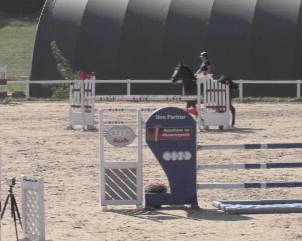 Reitturnier Bad Schmiedeberg 2023