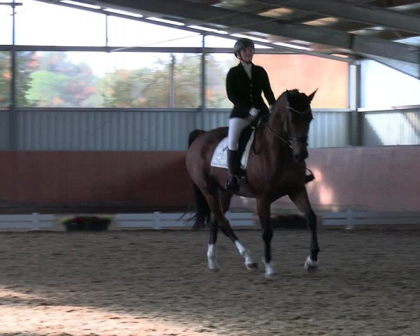 Reitturnier Marl, Hof Ostgathe 2023