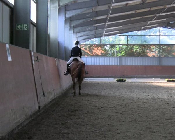 Reitturnier Marl, Hof Ostgathe 2023
