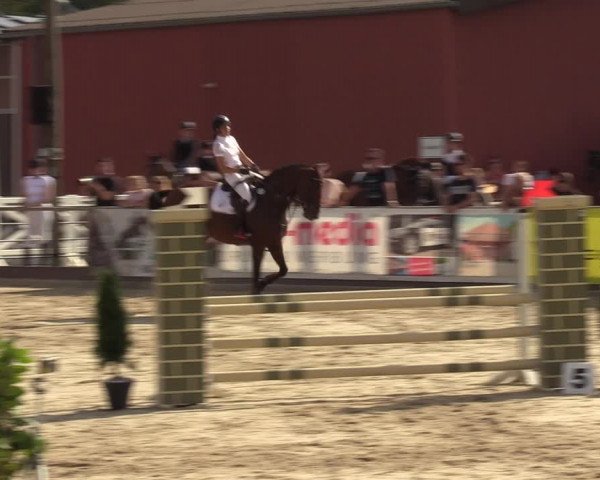 Reitturnier Marl, Hof Ostgathe 2023