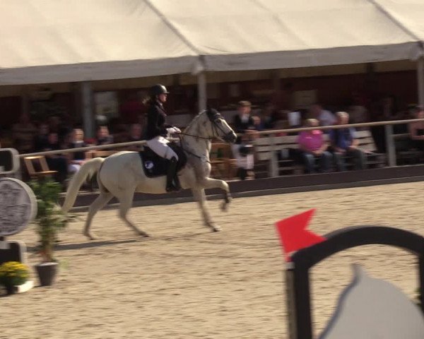 Reitturnier Marl, Hof Ostgathe 2023