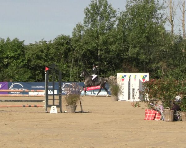 Reitturnier Scharnebeck 2023