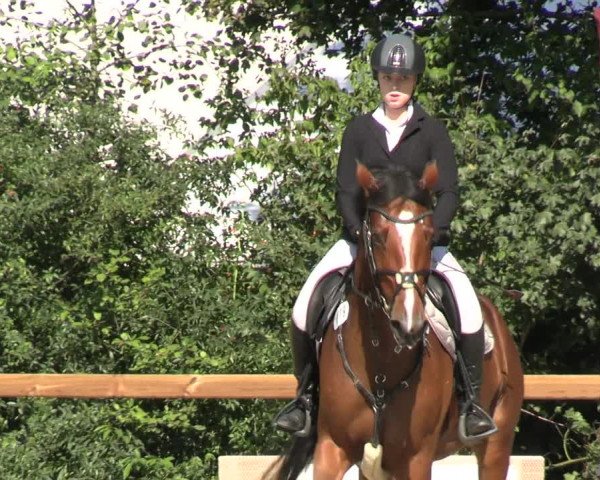 Reitturnier Scharnebeck 2023