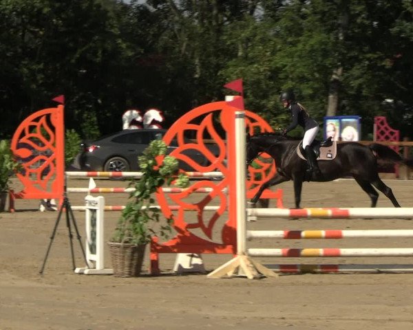 Reitturnier Scharnebeck 2023