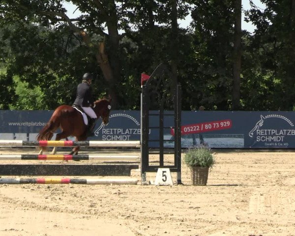 Reitturnier Scharnebeck 2023
