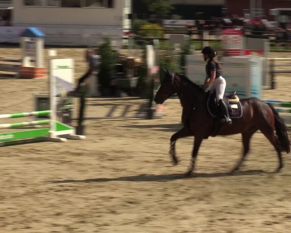 Reitturnier Albersloh 2023