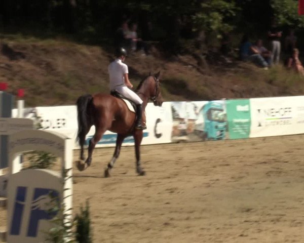 Reitturnier Albersloh 2023