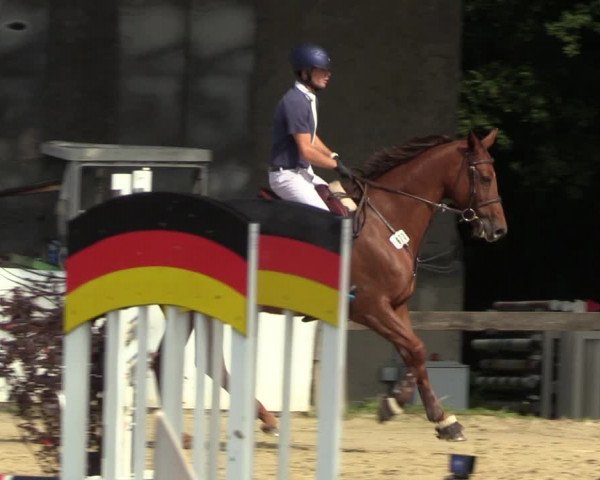Reitturnier Buchenhof-Ibbenbüren 2023