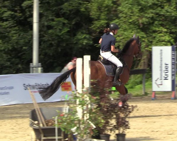 Reitturnier Buchenhof-Ibbenbüren 2023