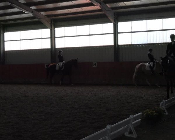 Reitturnier Marl, Hof Ostgathe 2023