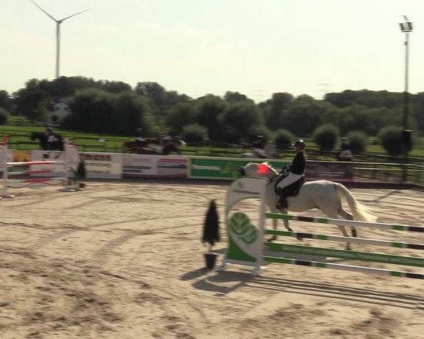 Reitturnier Marl, Hof Ostgathe 2023