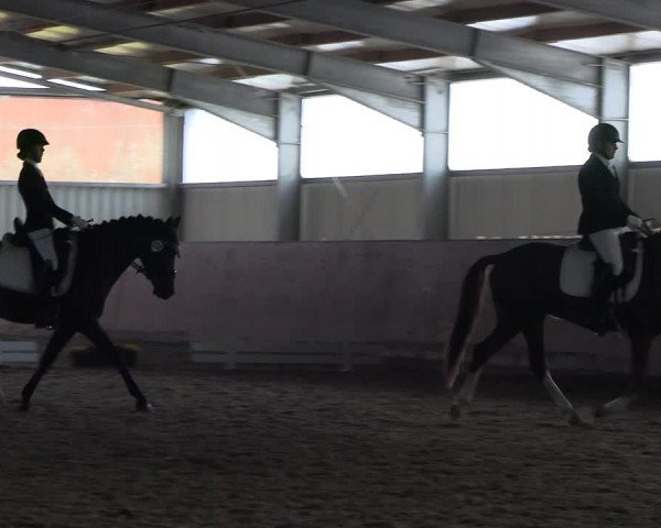 Reitturnier Marl, Hof Ostgathe 2023