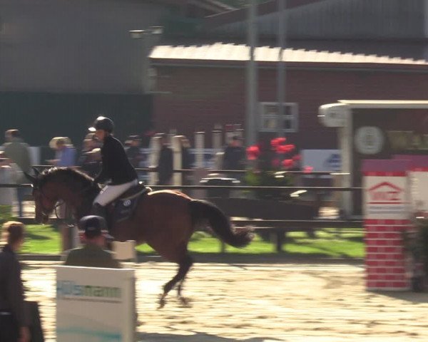 Reitturnier Albersloh 2023
